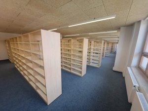 20250411_130729_resized