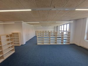 20250411_131235_resized