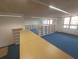 20250411_131323_resized