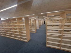 20250411_133524_resized