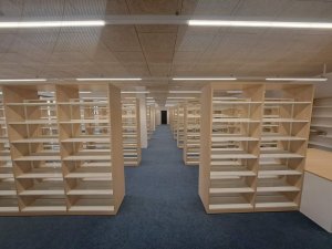 20250411_133532_resized