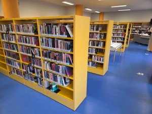 20251215_104113_resized