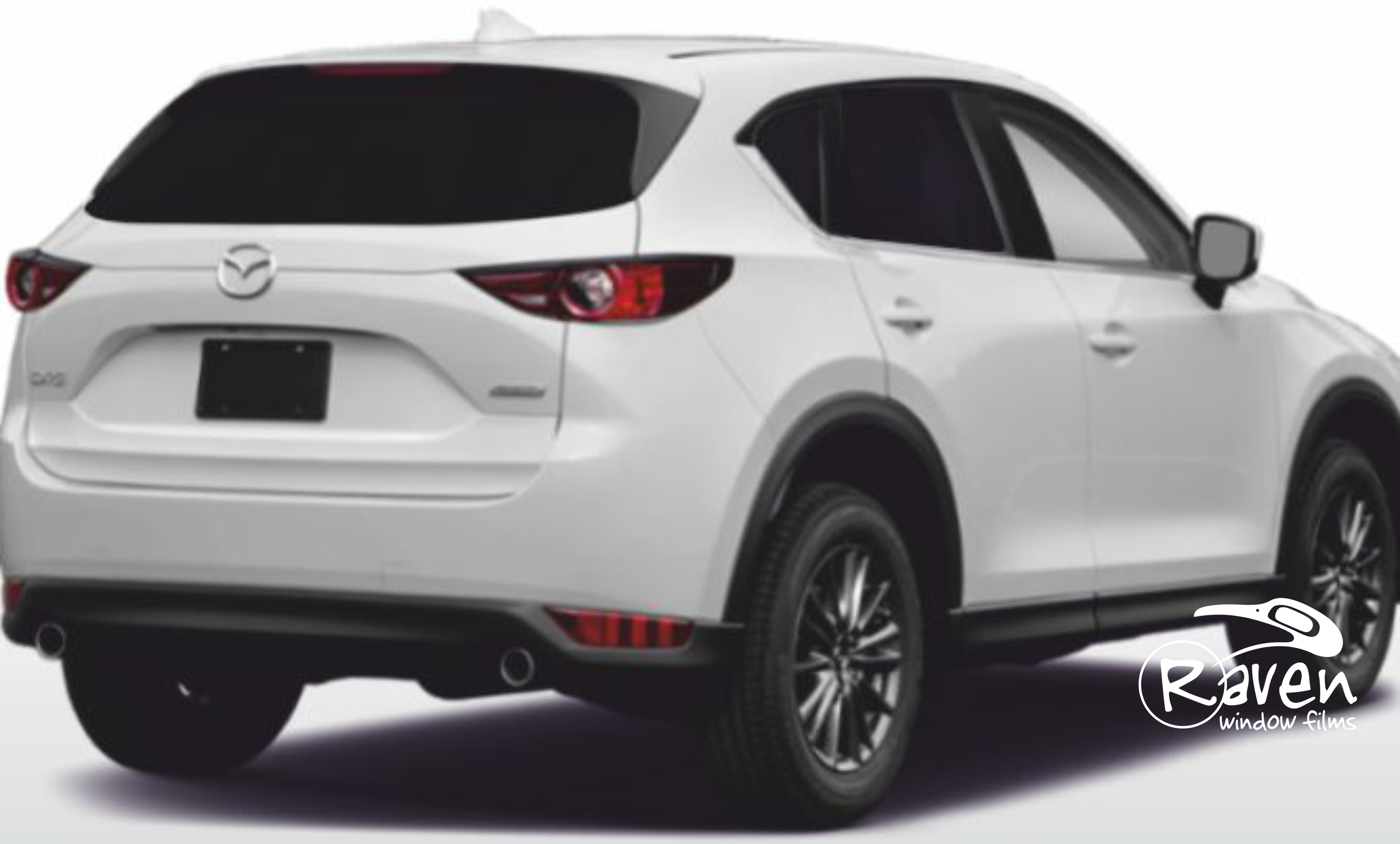 RavenHP NanoCarbon 05