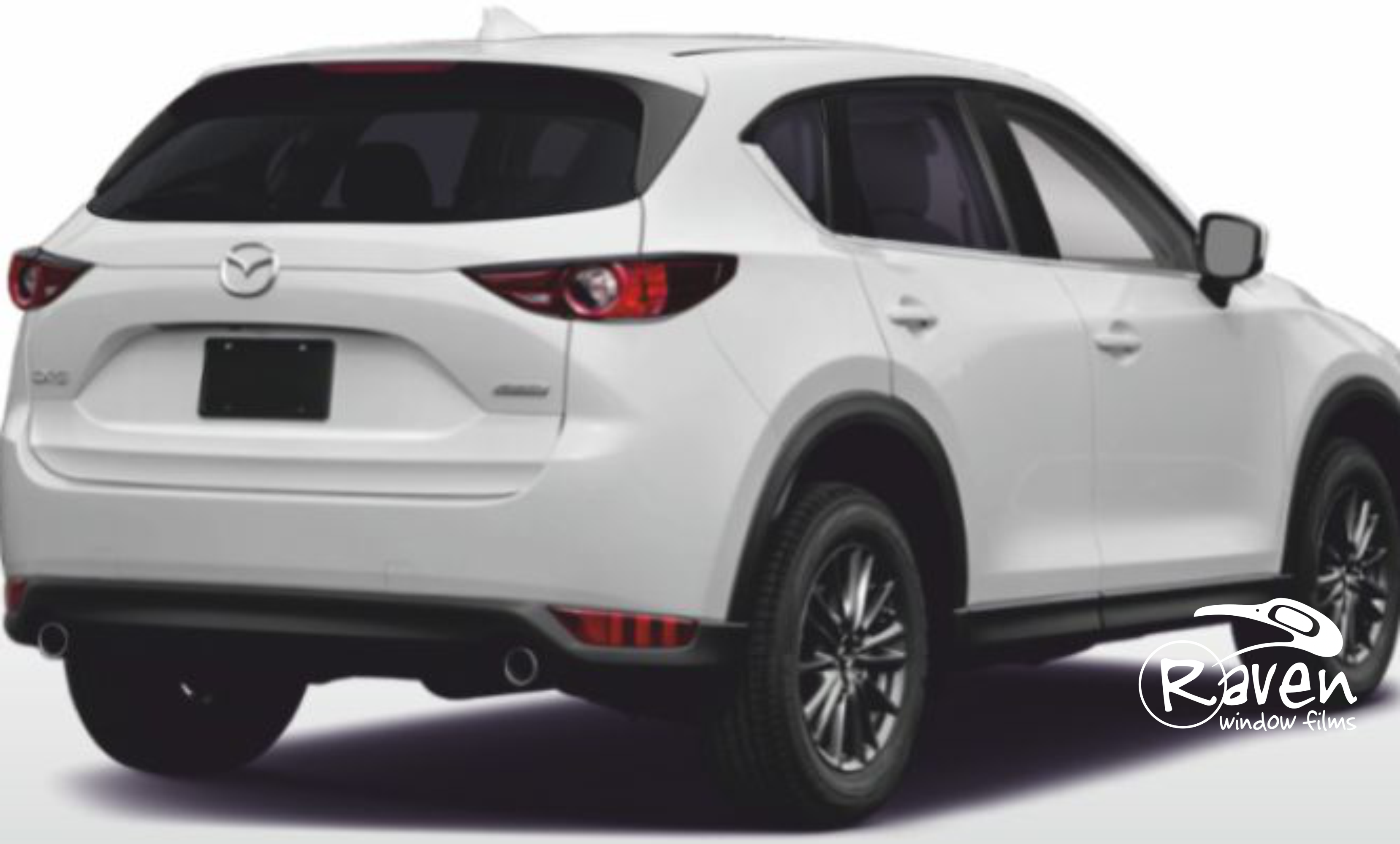 RavenHP NanoCarbon 35