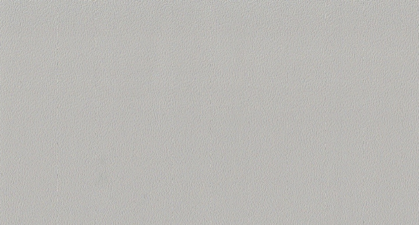 RS803 - Light grey 2