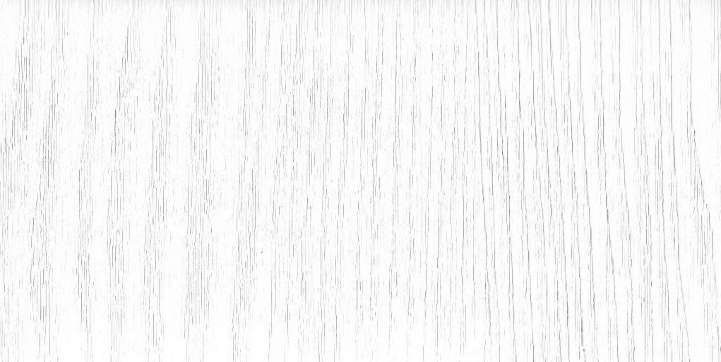 RE119 - Polar white emboss