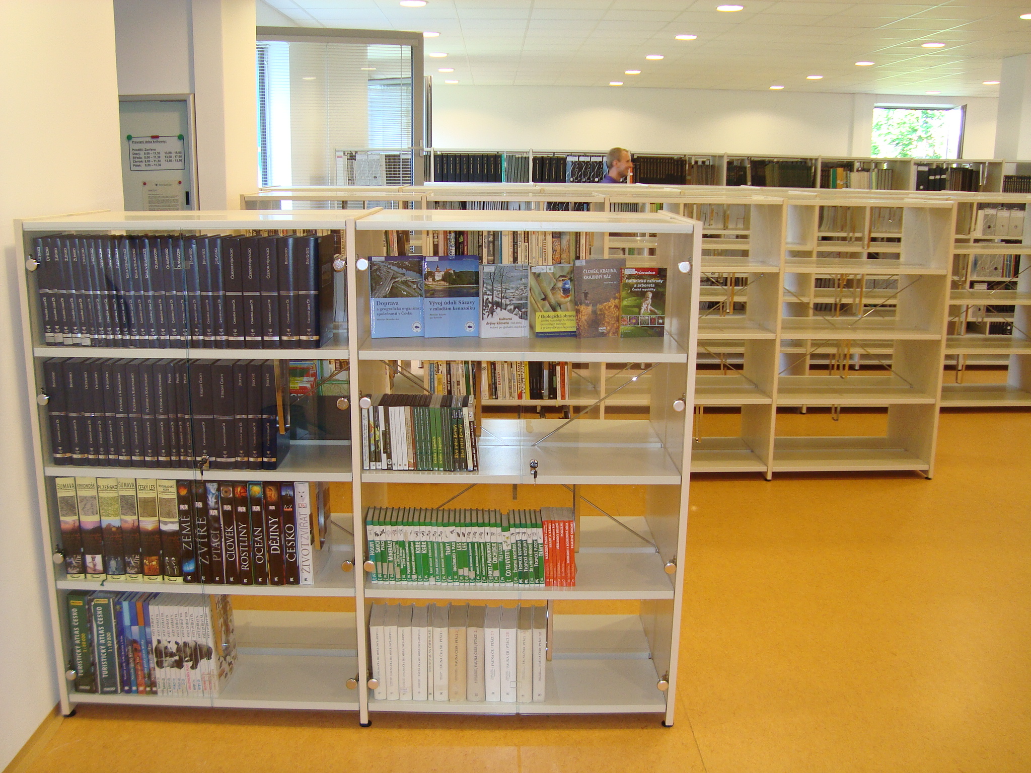 Dvířka k regálům IDEAL celoskleněná